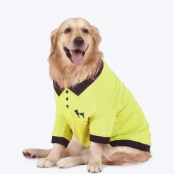 HUFT Solid Polo Dog T-Shirt - Lemon Green