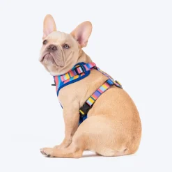 HUFT Spectrum Stripes Adjustable Harness For Dog - Multicolor