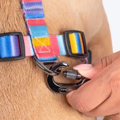 HUFT Spectrum Stripes Adjustable Harness For Dog - Multicolor