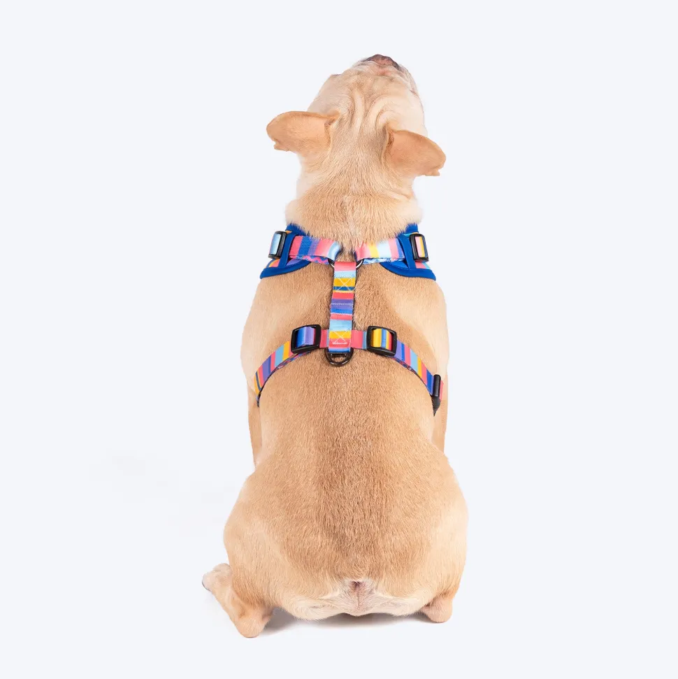 HUFT Spectrum Stripes Adjustable Harness For Dog - Multicolor
