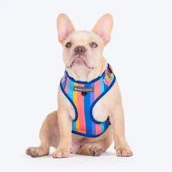 HUFT Spectrum Stripes Adjustable Harness For Dog - Multicolor