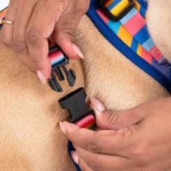 HUFT Spectrum Stripes Adjustable Harness For Dog - Multicolor