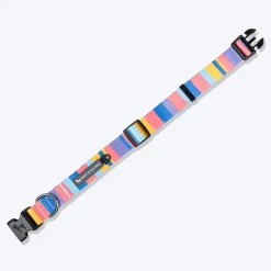 HUFT Spectrum Stripes Collar For Dog - Multicolor