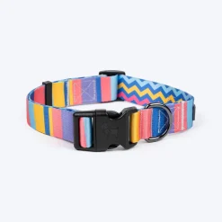 HUFT Spectrum Stripes Collar For Dog - Multicolor