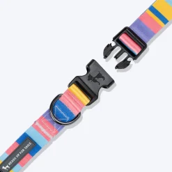 HUFT Spectrum Stripes Collar For Dog - Multicolor