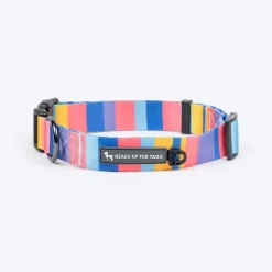 HUFT Spectrum Stripes Collar For Dog - Multicolor