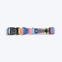 HUFT Spectrum Stripes Collar For Dog - Multicolor
