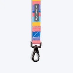 HUFT Spectrum Stripes Leash For Dog - Multicolor