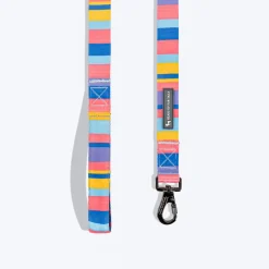 HUFT Spectrum Stripes Leash For Dog - Multicolor