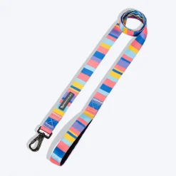 HUFT Spectrum Stripes Leash For Dog - Multicolor