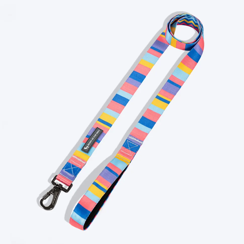 HUFT Spectrum Stripes Leash For Dog - Multicolor