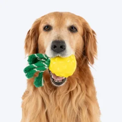 HUFT Squeakie Fruitie Chew Toy For Dog - Yellow