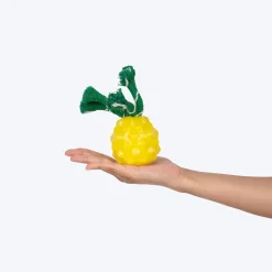 HUFT Squeakie Fruitie Chew Toy For Dog - Yellow