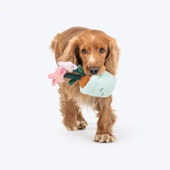 HUFT Star Power Squeaky Plush Toy For Dog - Multicolor