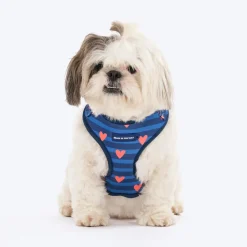 HUFT Striped Love Adjustable Harness For Dog - Navy