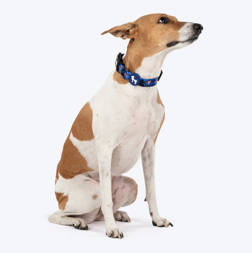 HUFT Striped Love Collar For Dog - Navy