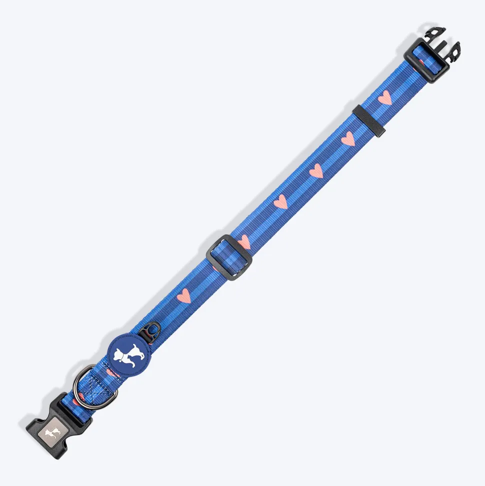 HUFT Striped Love Collar For Dog - Navy