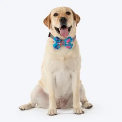 HUFT Summer Bloom Bow Tie With Collar For Dog - Blue