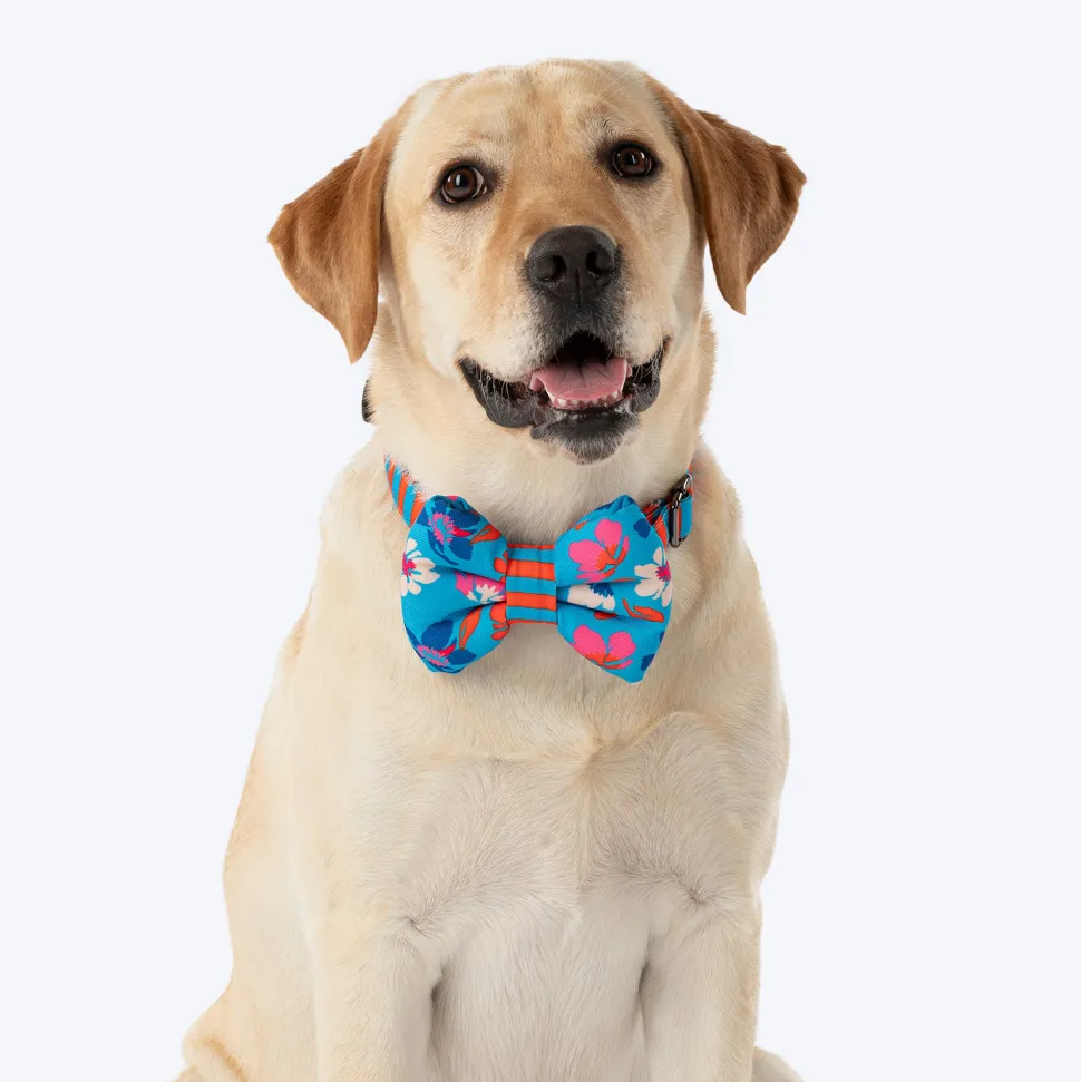 HUFT Summer Bloom Bow Tie With Collar For Dog - Blue