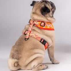 HUFT Summer Legacy Printed Dog Harness