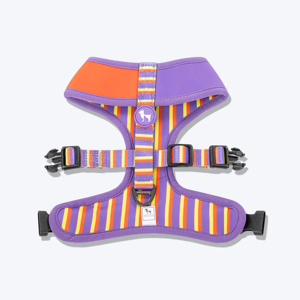 HUFT Sunny Stride Dog Reversible Harness