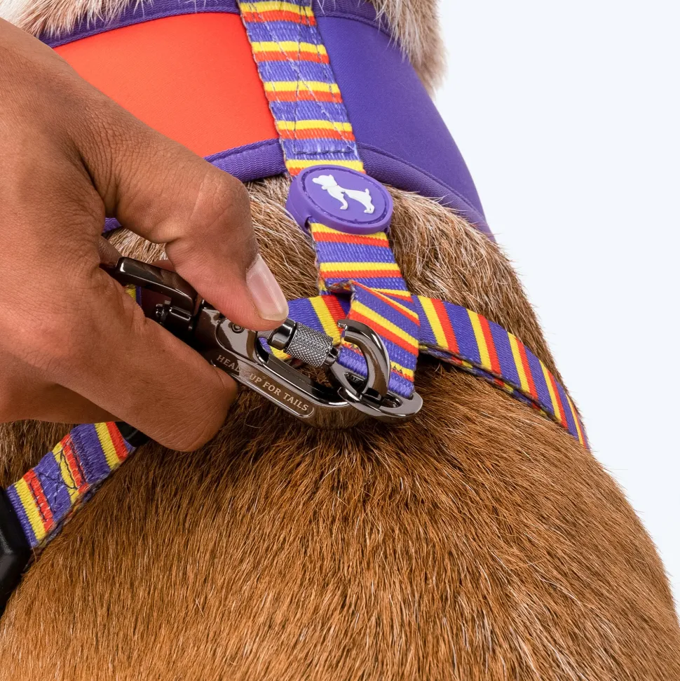 HUFT Sunny Stride Dog Reversible Harness