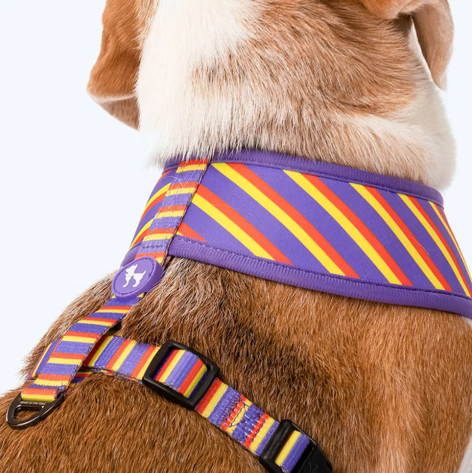 HUFT Sunny Stride Dog Reversible Harness