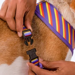 HUFT Sunny Stride Dog Reversible Harness
