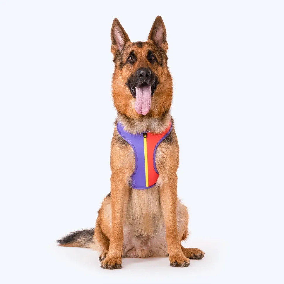 HUFT Sunny Stride Dog Reversible Harness