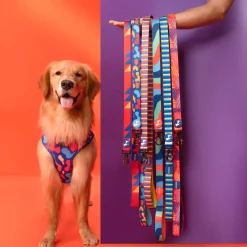 HUFT Sunset Samba Printed Dog Leash