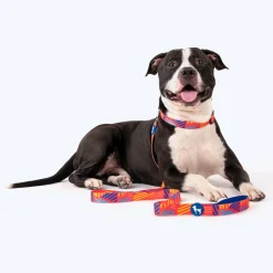 HUFT Sunset Samba Printed Dog Leash