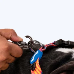 HUFT Sunset Samba Printed Dog Leash
