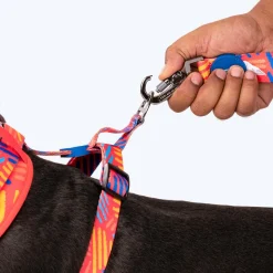 HUFT Sunset Samba Printed Dog Leash