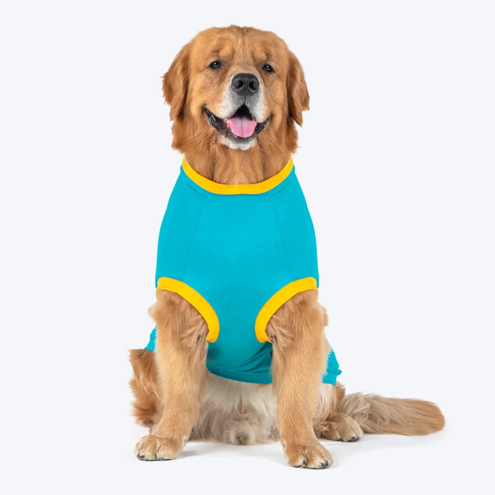 HUFT Sunshine On My Mind T-Shirt For Dogs - Light Blue