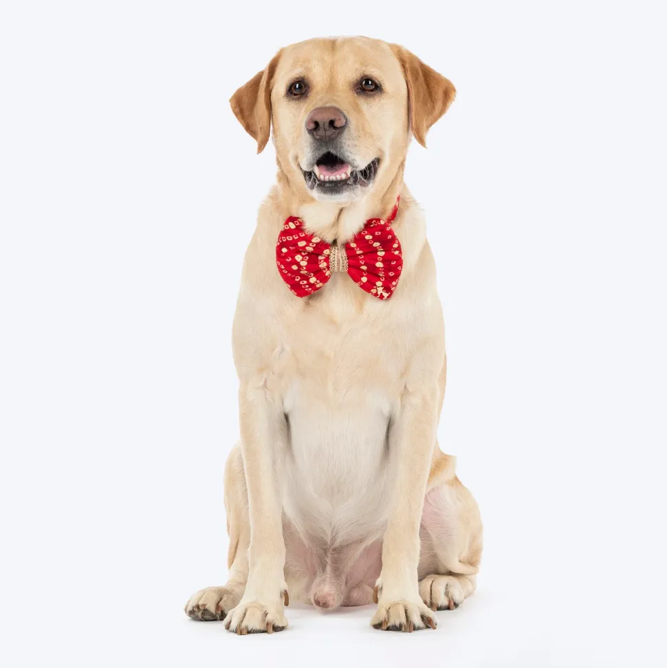 HUFT Super Sitara Bow Tie With Strap For Dog - Red