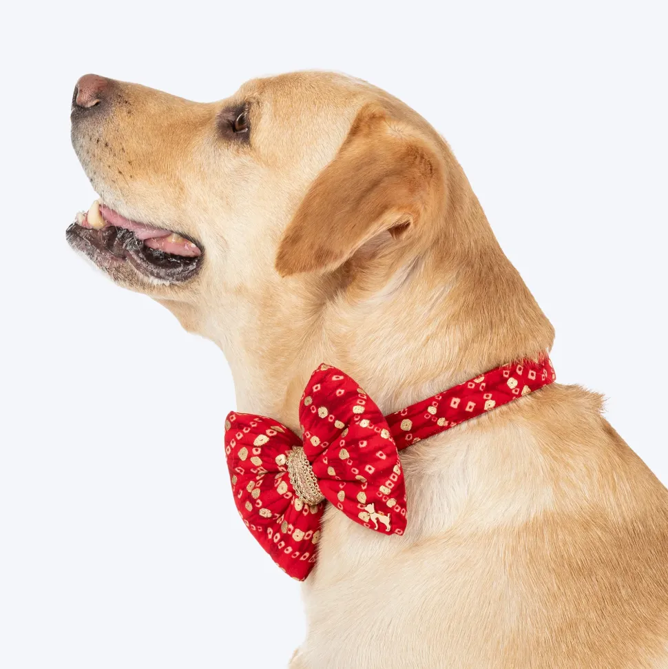 HUFT Super Sitara Bow Tie With Strap For Dog - Red