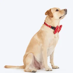HUFT Super Sitara Bow Tie With Strap For Dog - Red