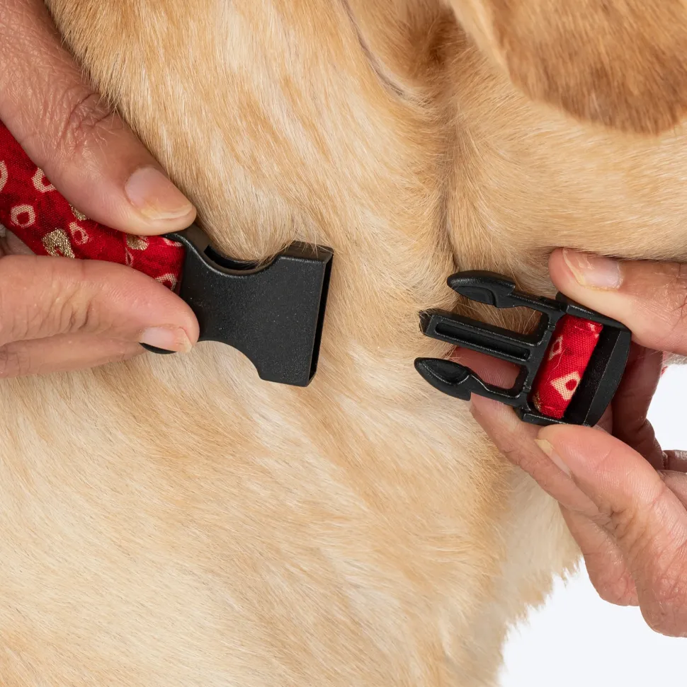 HUFT Super Sitara Bow Tie With Strap For Dog - Red