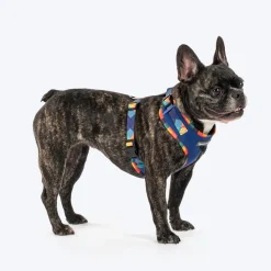 HUFT Technicolor Tartan Adjustable Harness For Dog - Multicolor