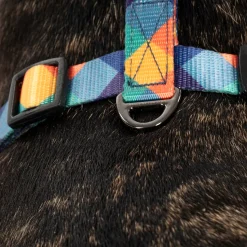 HUFT Technicolor Tartan Adjustable Harness For Dog - Multicolor