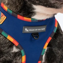 HUFT Technicolor Tartan Adjustable Harness For Dog - Multicolor
