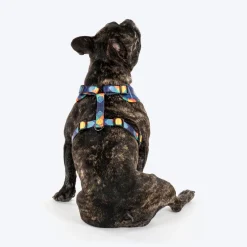 HUFT Technicolor Tartan Adjustable Harness For Dog - Multicolor