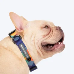 HUFT Technicolor Tartan Collar For Dog - Multicolor