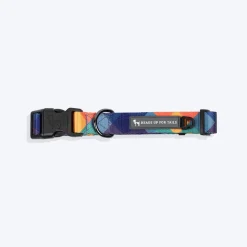 HUFT Technicolor Tartan Collar For Dog - Multicolor
