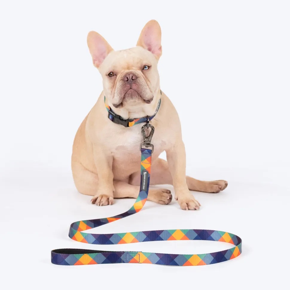 HUFT Technicolor Tartan Leash For Dog - Multicolor
