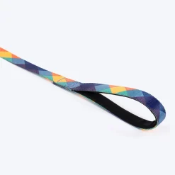 HUFT Technicolor Tartan Leash For Dog - Multicolor