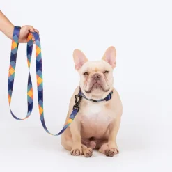 HUFT Technicolor Tartan Leash For Dog - Multicolor