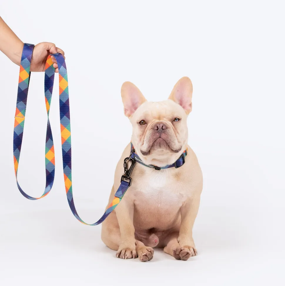 HUFT Technicolor Tartan Leash For Dog - Multicolor