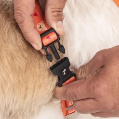 HUFT Teddy Adjustable Harness For Dog - Red