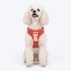 HUFT Teddy Adjustable Harness For Dog - Red
